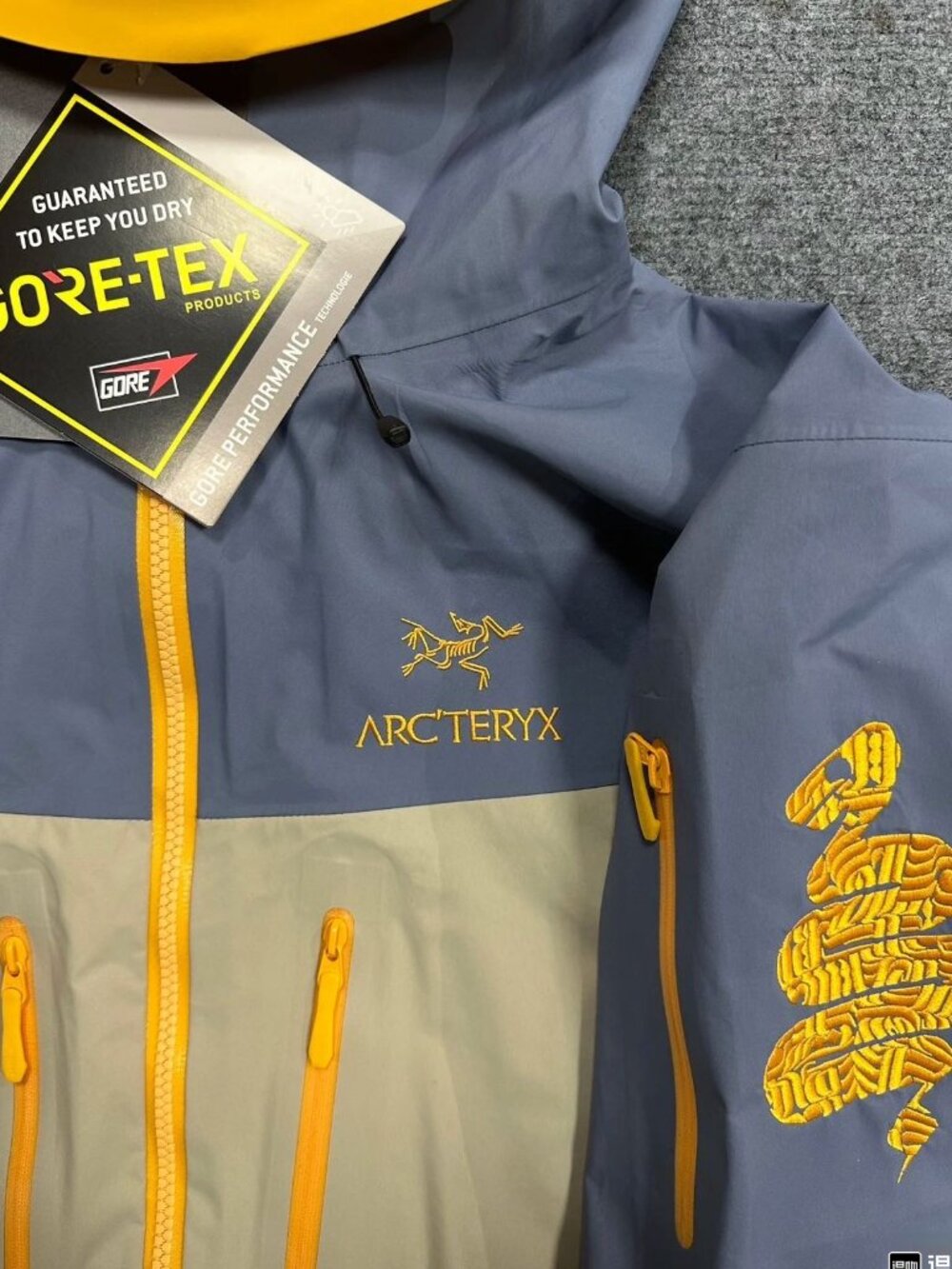 Arc'teryx Alpha SV Jacket - Picture 6 of 6